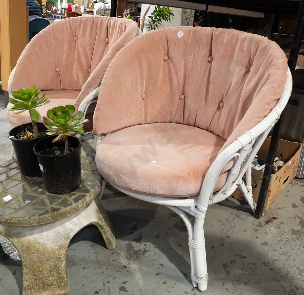 2x deep upholstered cane tub chairs Image 1++
