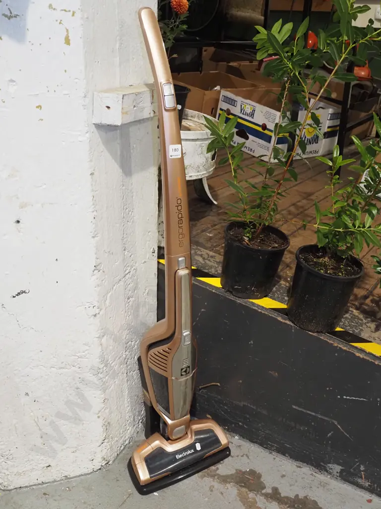 Electrolux Ergo stick vacuum Image 1++