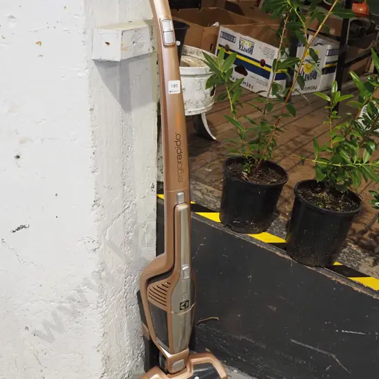 Electrolux Ergo stick vacuum
