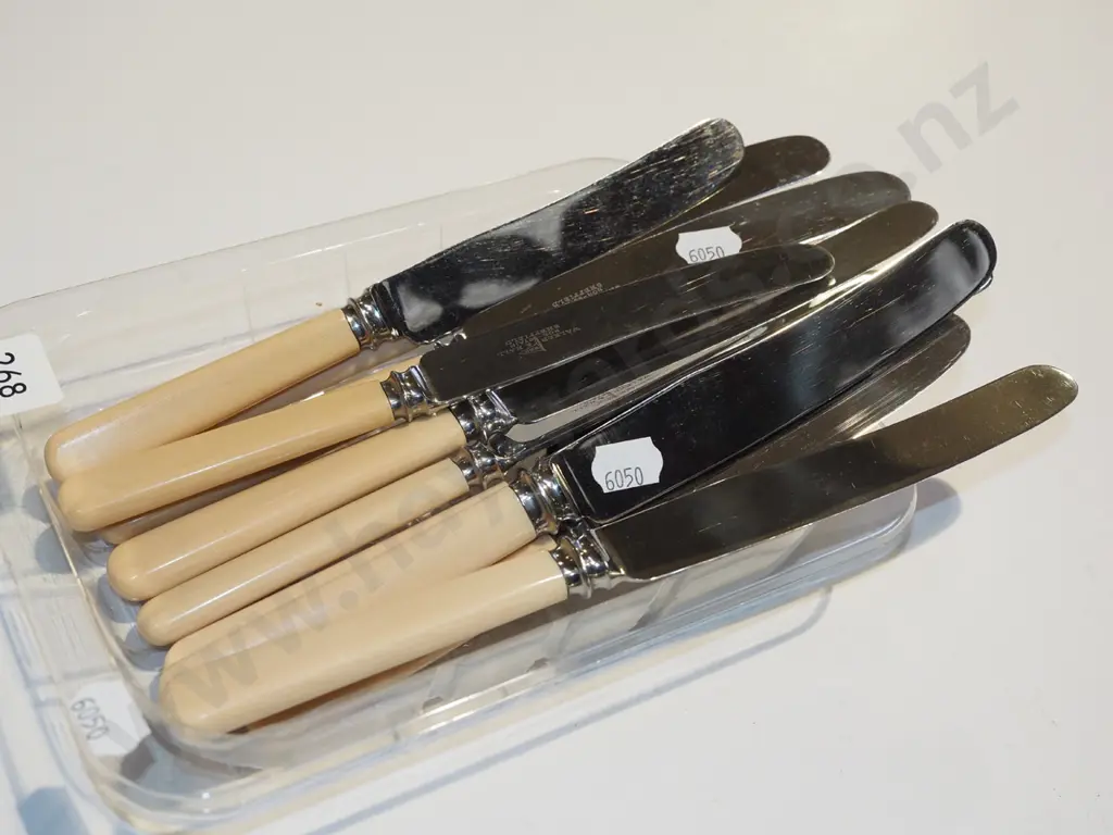 bone handled knives Image 1++