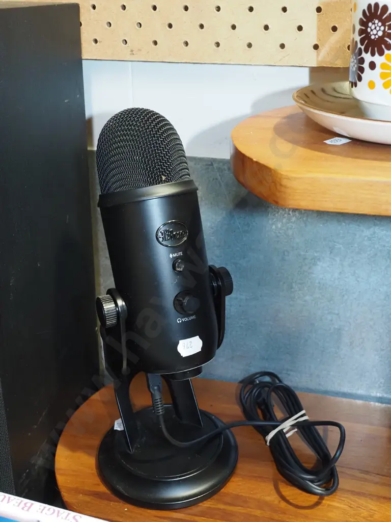 Blue USB microphone Image 1++