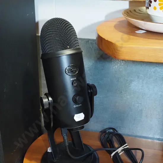 Blue USB microphone