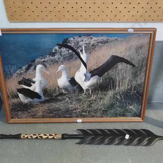 souvenir Fijiian spear, albatross print
