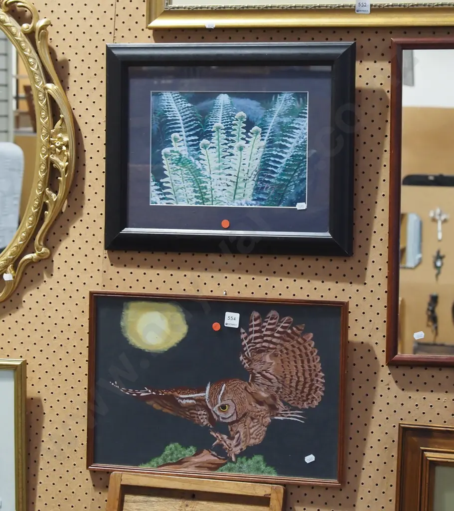 framed acrylic - owl, photo print - red dots Image 1++