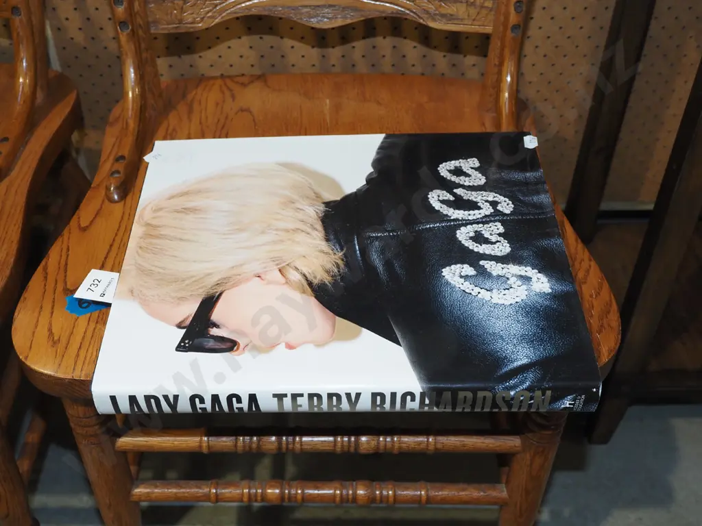 Terry Richardson Lady Gaga photography book Image 1++