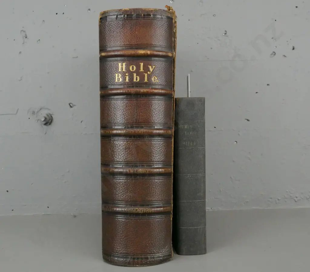 2x biblical books: Image 1++