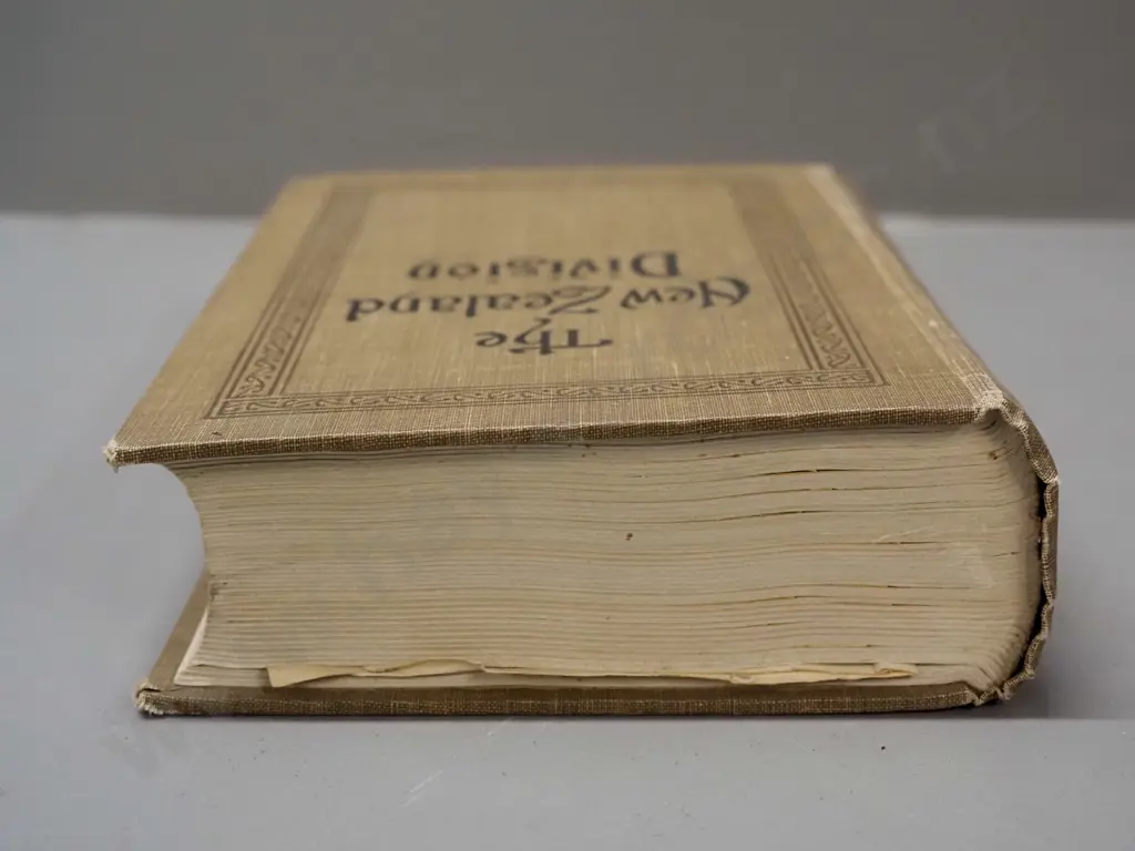 The Official History of New Zealand's Effort in the Great War: Vol. 2 - NZ Division - Image 1++