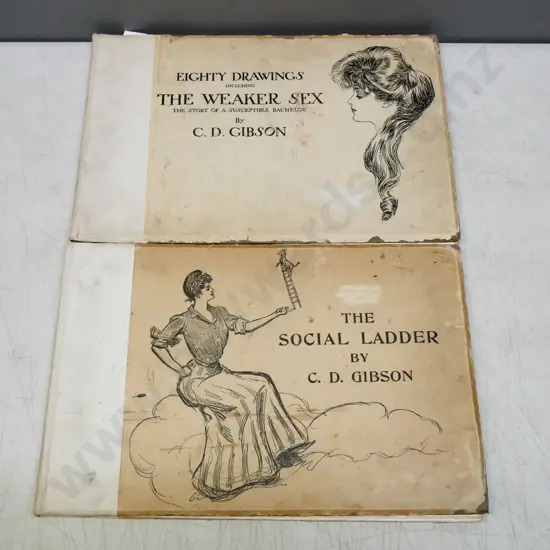 2x books of drawings by CD Gibson: