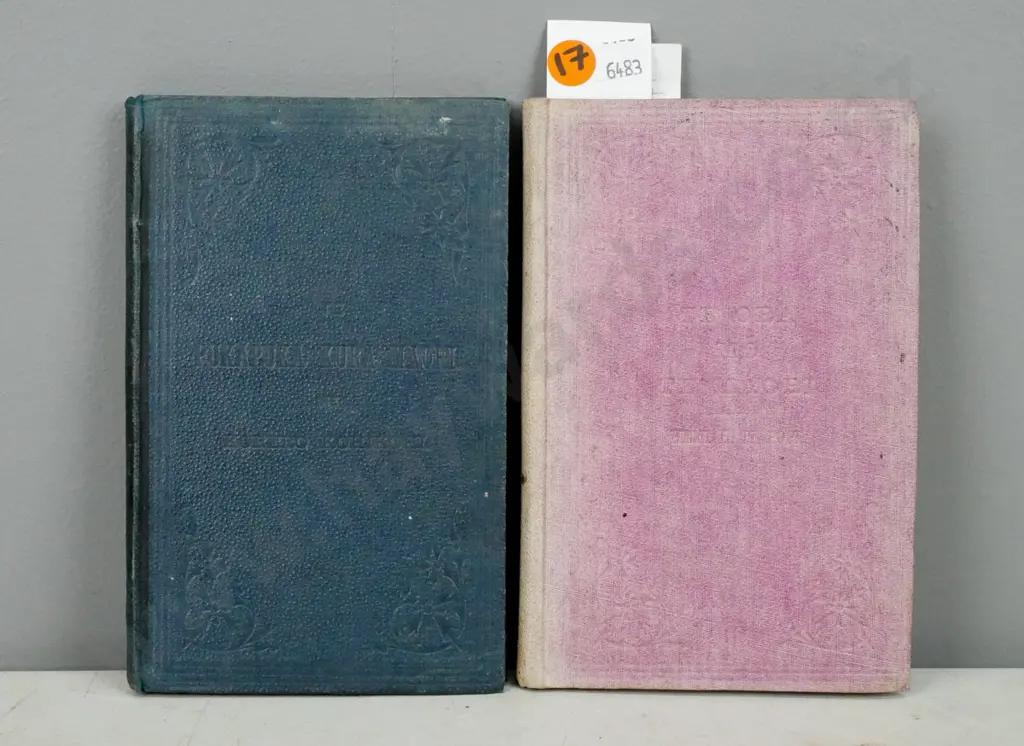 2x books of early New Zealand: Image 1++