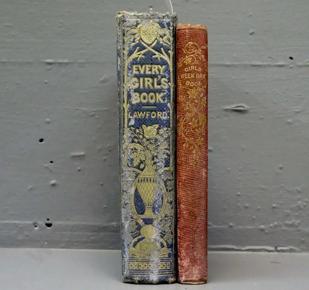 2x books for girls: Image 1++