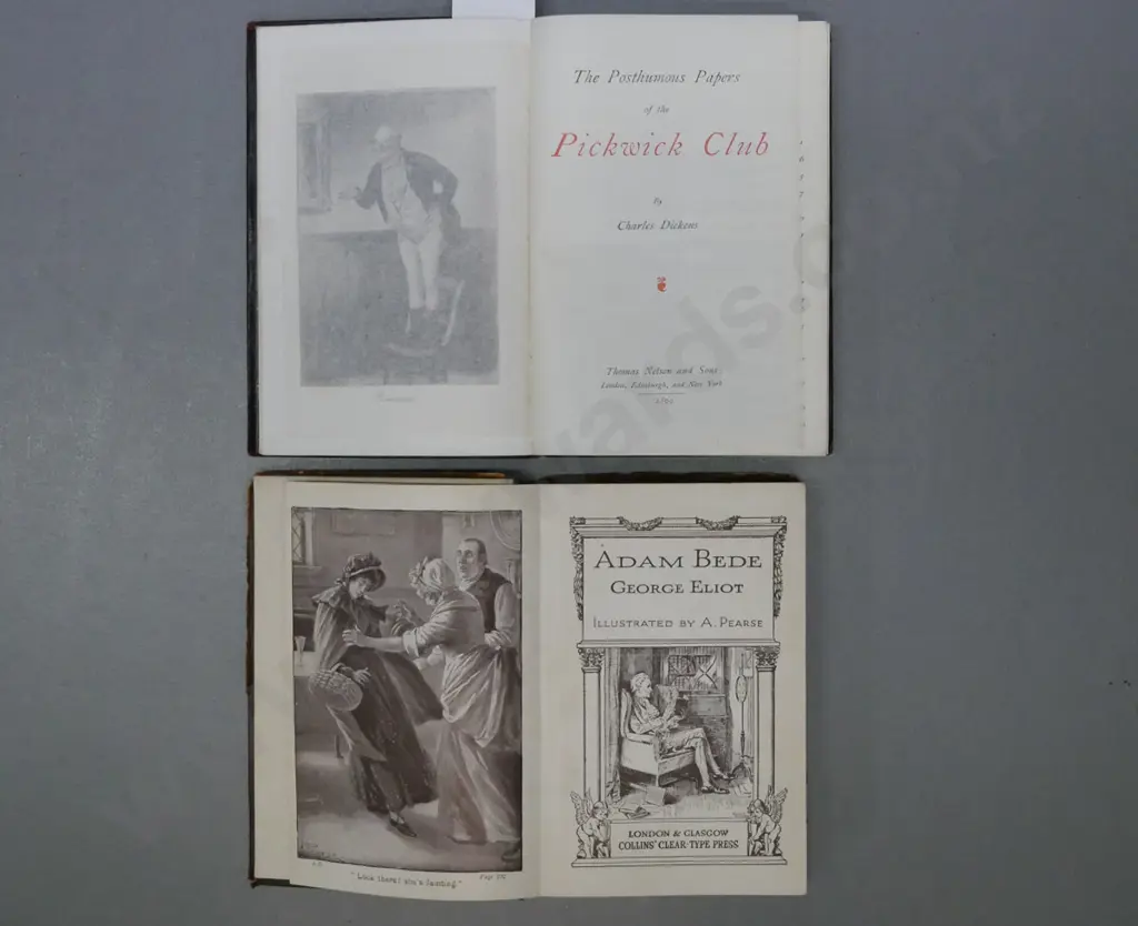 2x novels: Image 1++