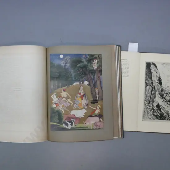 2x art books: