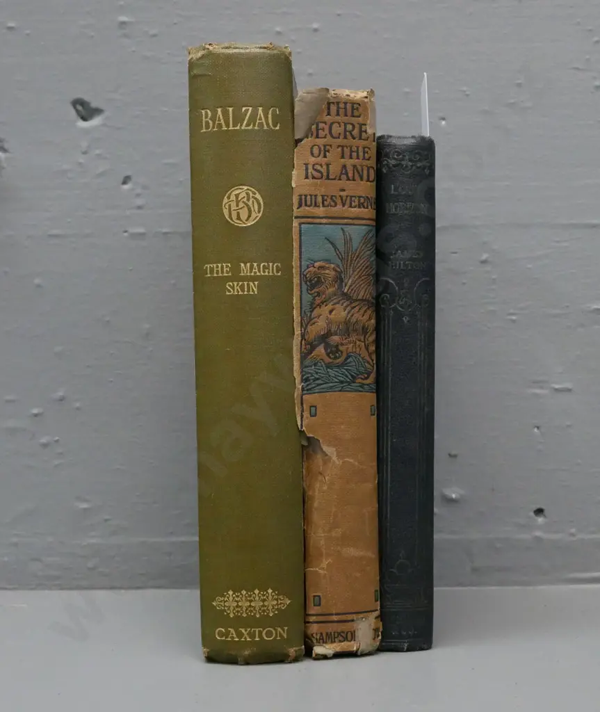 3x novels: Image 1++