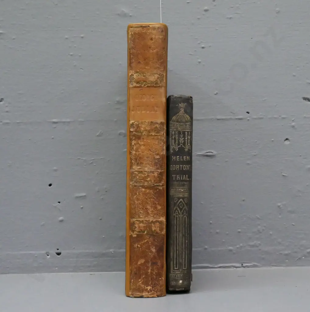 2x novels: Image 1++
