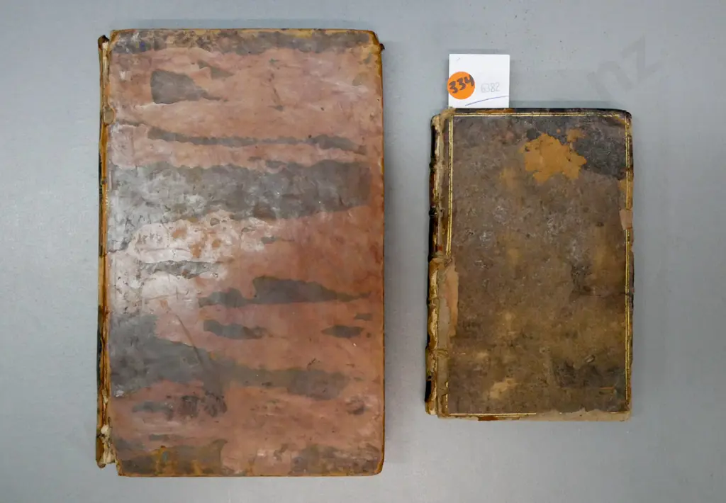 2x early literary non-fiction: Image 1++