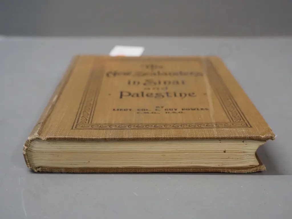 The Official History of New Zealand's Effort in the Great War: Vol. 3 - Sinai & Palestine - Image 1++