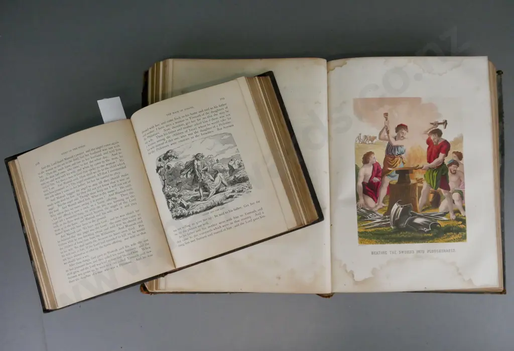 2x biblical books: Image 1++