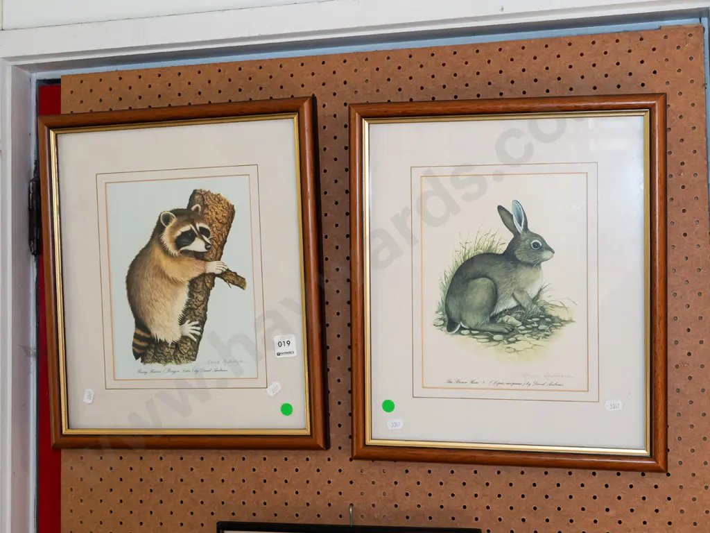 framed racoon and rabbit prints - green dots Image 1++