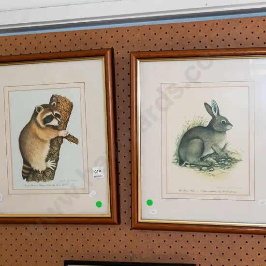 framed racoon and rabbit prints - green dots