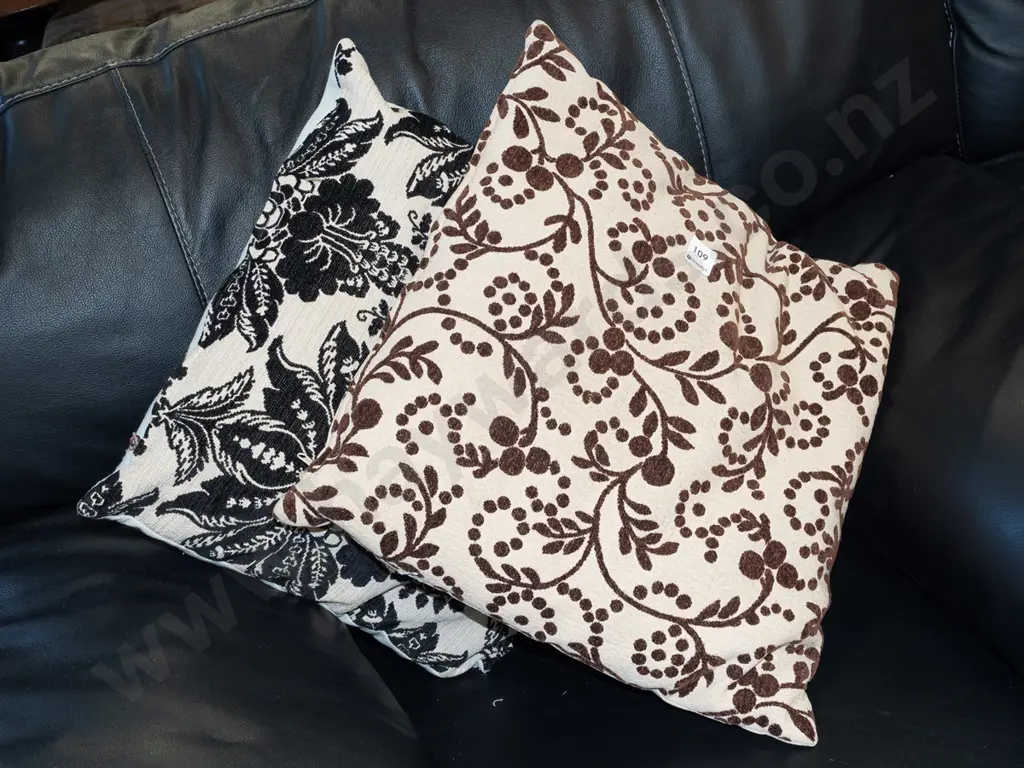 2x cushions Image 1++