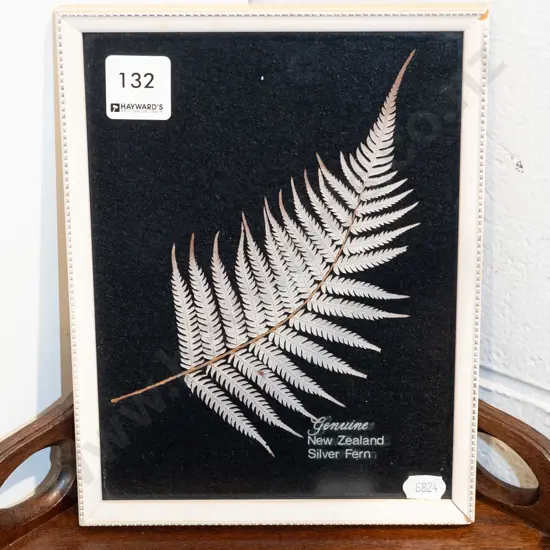 framed genuine Silver Fern frond