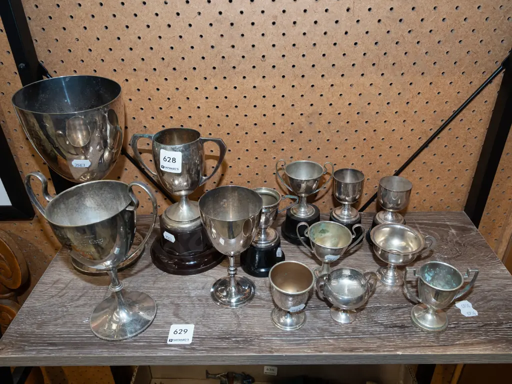 shelf of trophies Tallest H220 Image 1++