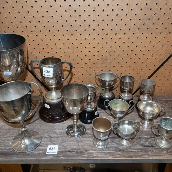 shelf of trophies Tallest H220
