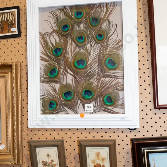 framed peacock feathers, 2x pressed flowers - orange dots