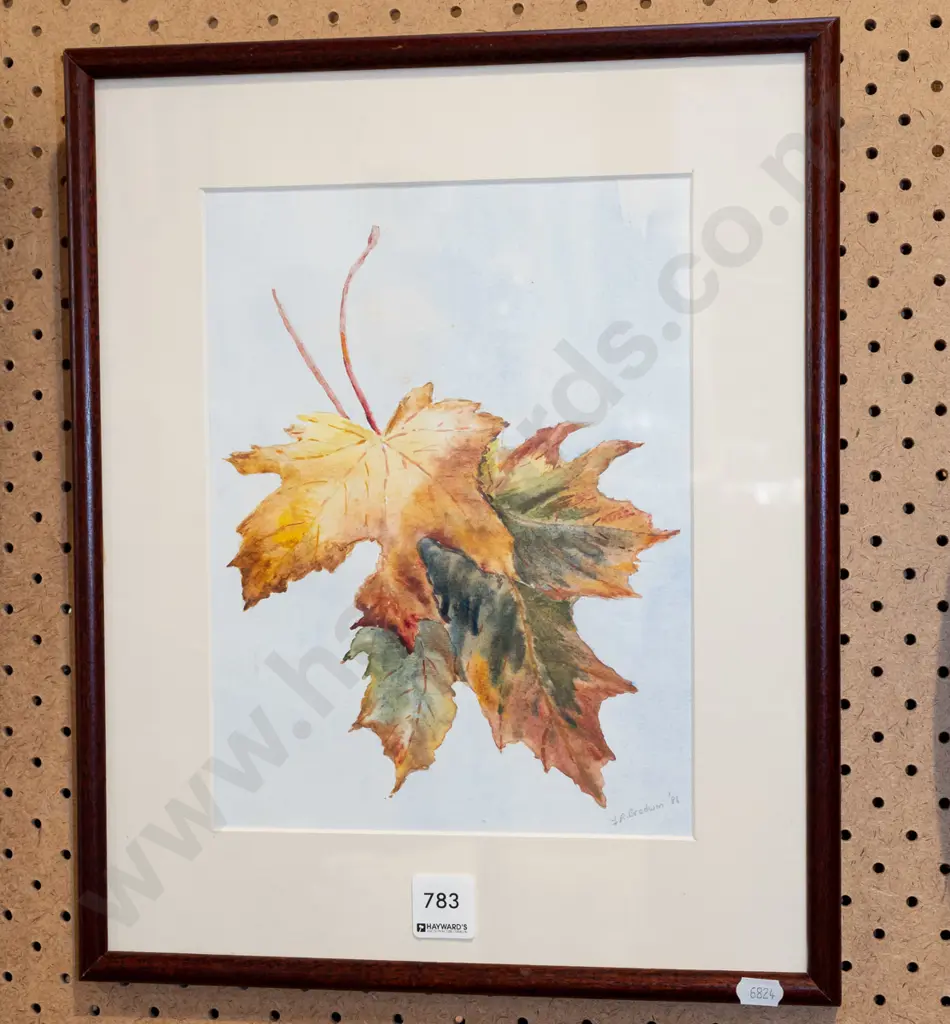 framed watercolour - autumn leaves Image 1++