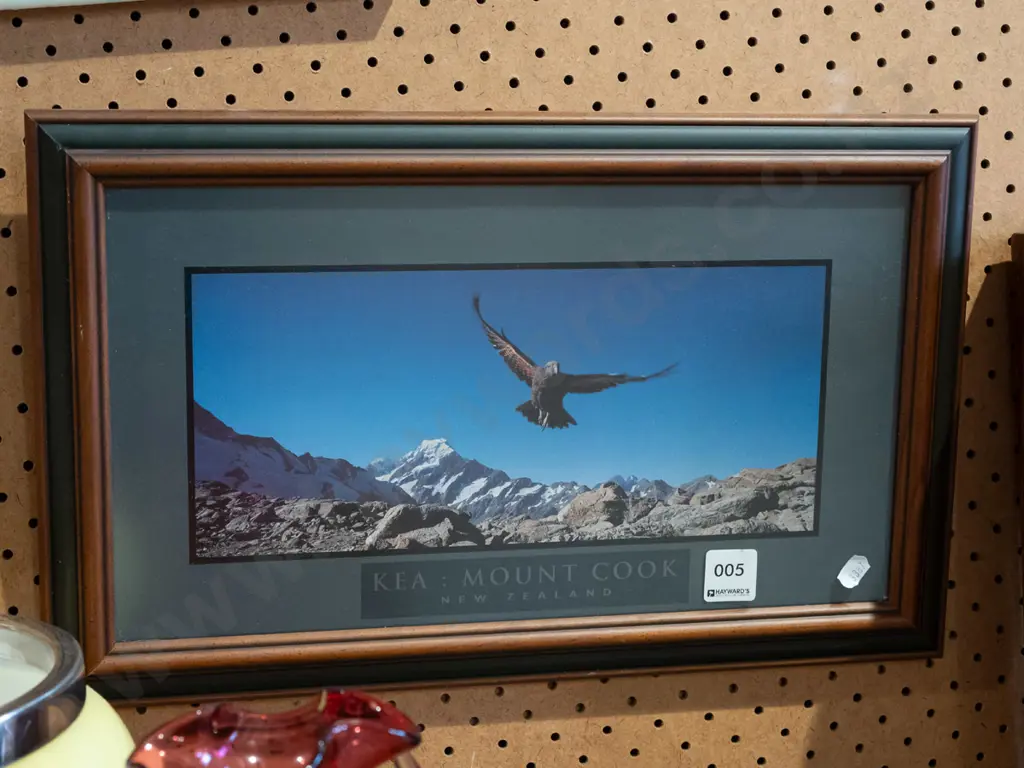 framed photo print - kea - Mt Cook Image 1++