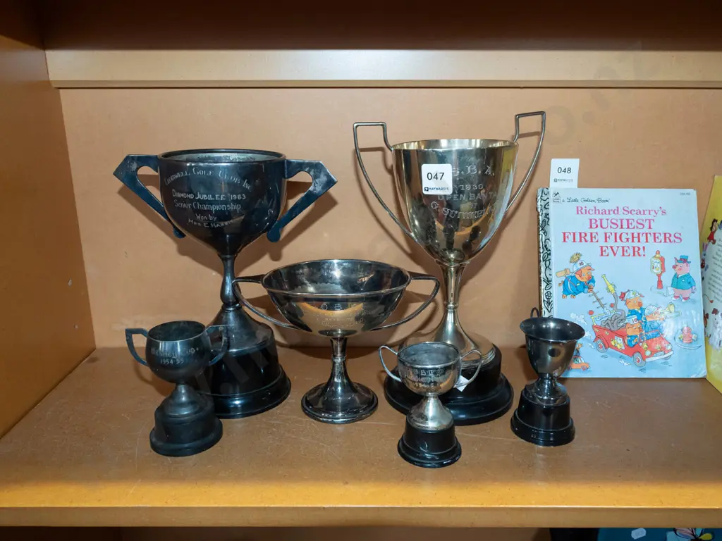 various trophies Image 1++