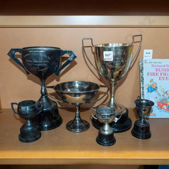 various trophies