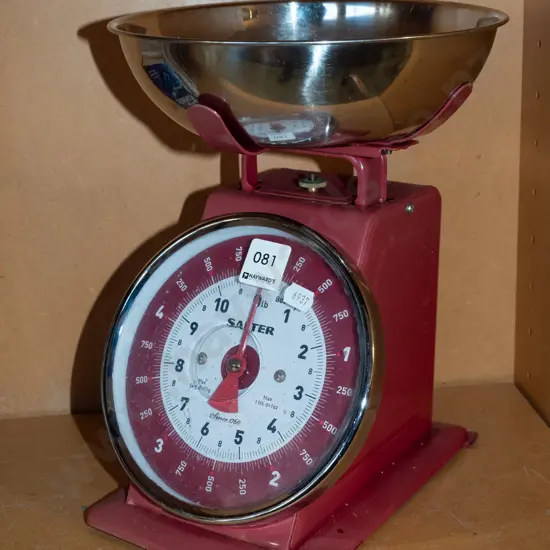 Salter kitchen scales