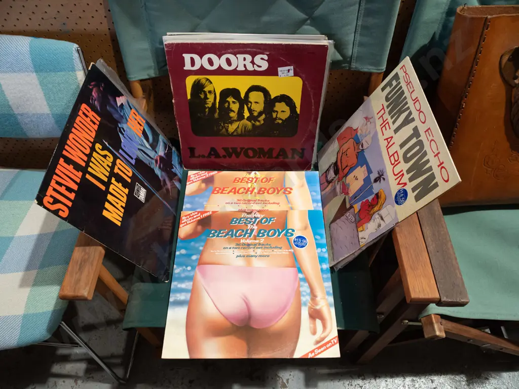 stack of LPs; Beach Boys, Pseudo Echo, Doors etc Image 1++