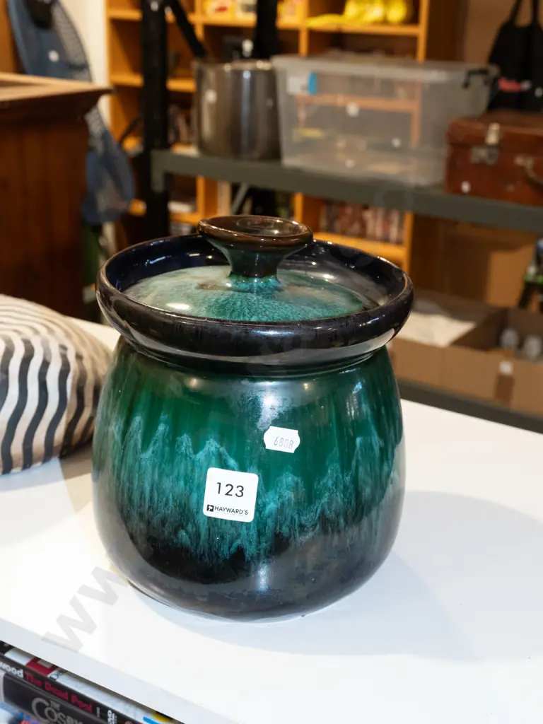 Blue Mountain lidded storage canister H200 Image 1++