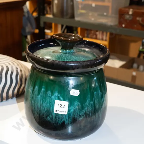 Blue Mountain lidded storage canister H200