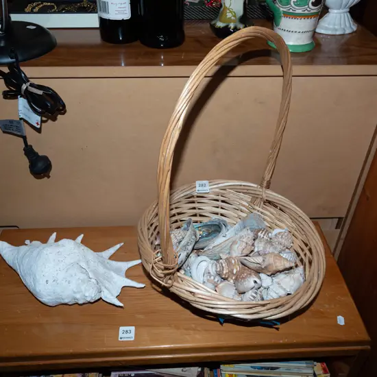 cane basket and shells Largest W300