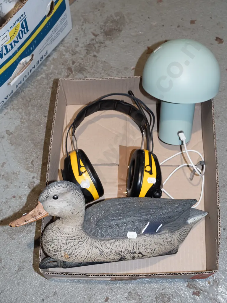 radio headphones, mushroom table lamp, plastic duck decoy Image 1++