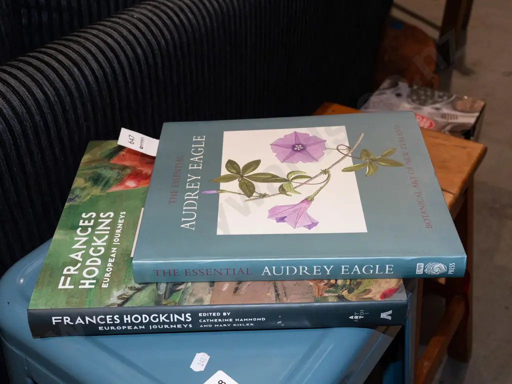 Frances Hodgkins book, The Essential Audrey Eagle Botanical Art of New Zeland book Image 1++