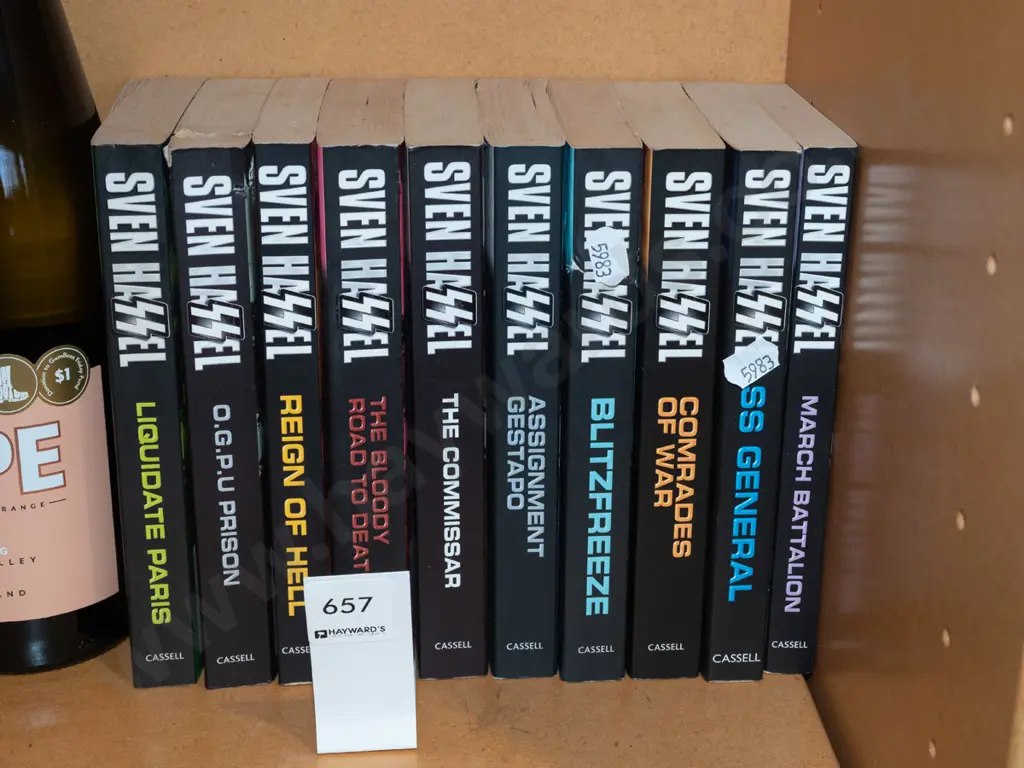 Stephen Hassel books Image 1++