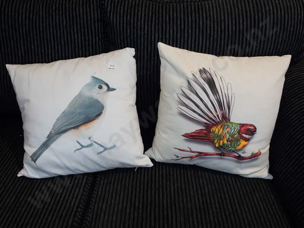 2x bird themed cushions Image 1++