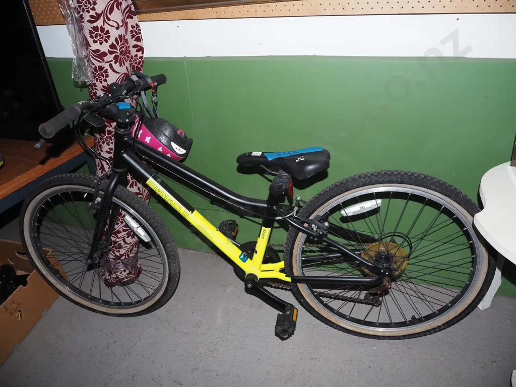 Pinnacle child's bike Image 1++