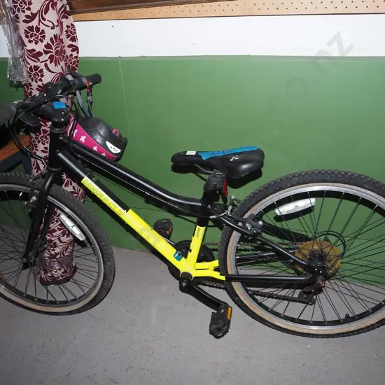Pinnacle child's bike