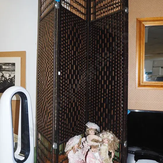 woven plastic 3 panel screen 