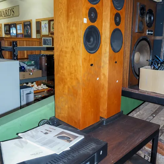 pair of Linn Ninka freestanding floor standing speakers and a Linn AV 5125 power amplifier