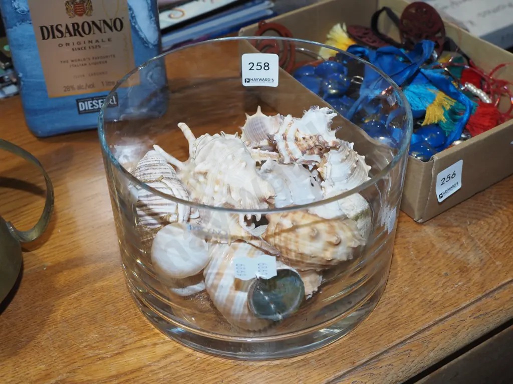 Krosno bowl and seashells Image 1++