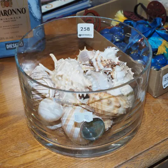 Krosno bowl and seashells