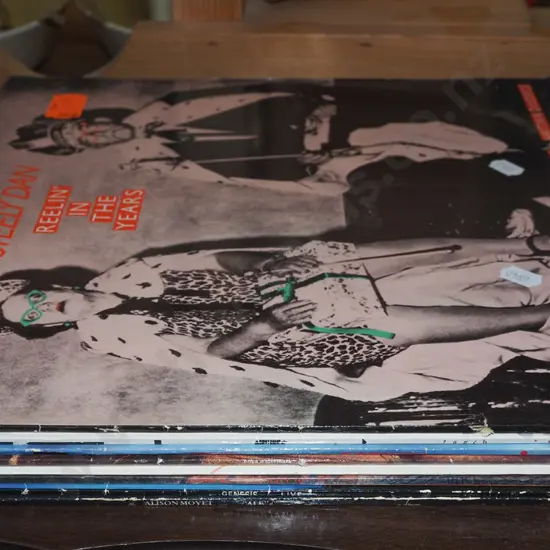 LPs; Steely Dan, Eurythmics, Enya etc