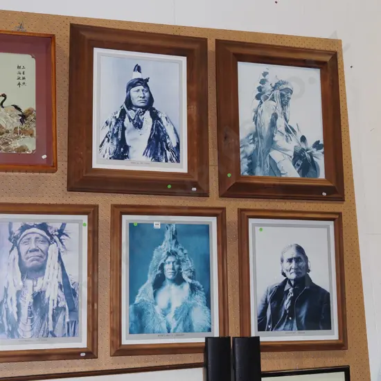 5x framed First Nations chieftan poster prints - green dots