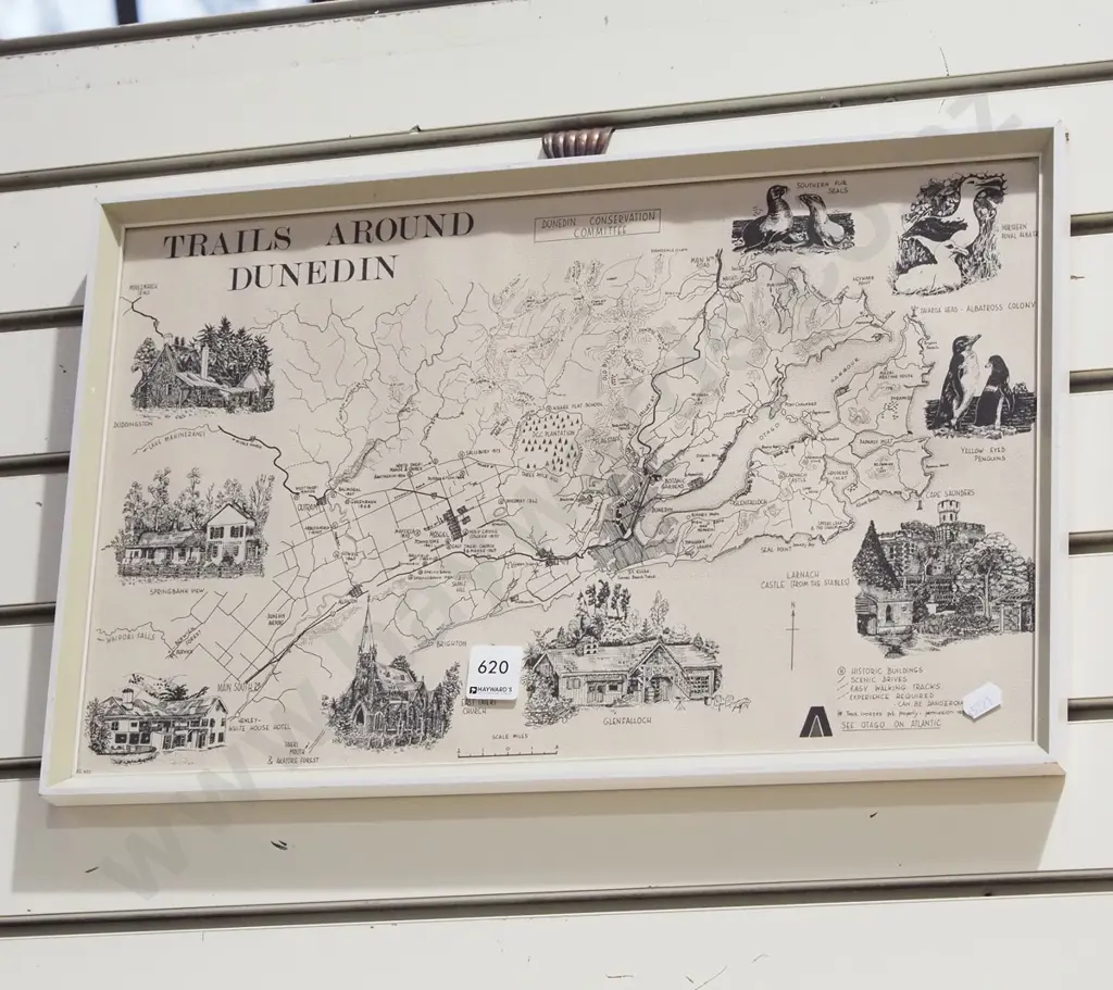 framed print - Trails Around Dunedin Image 1++